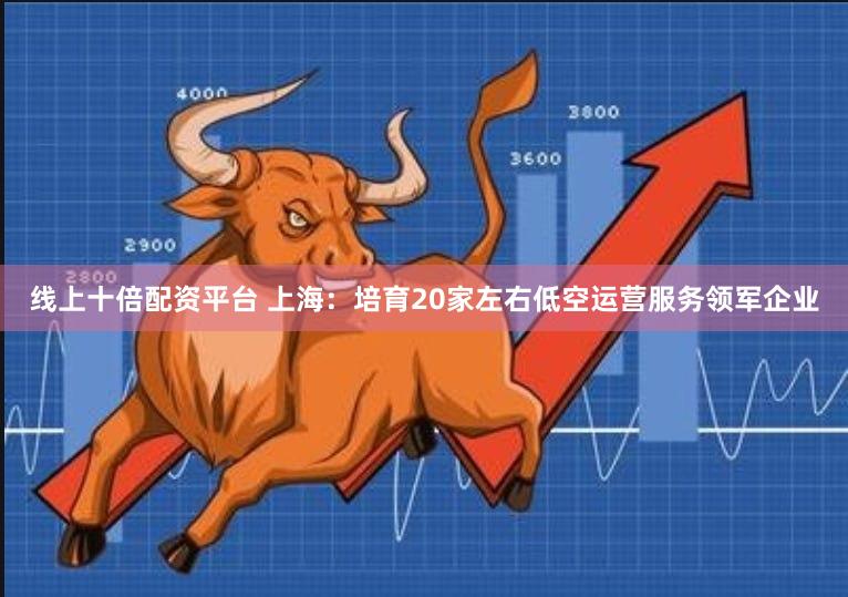 线上十倍配资平台 上海：培育20家左右低空运营服务领军企业