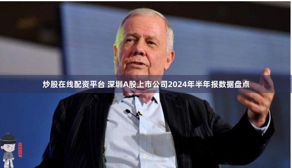 炒股在线配资平台 深圳A股上市公司2024年半年报数据盘点